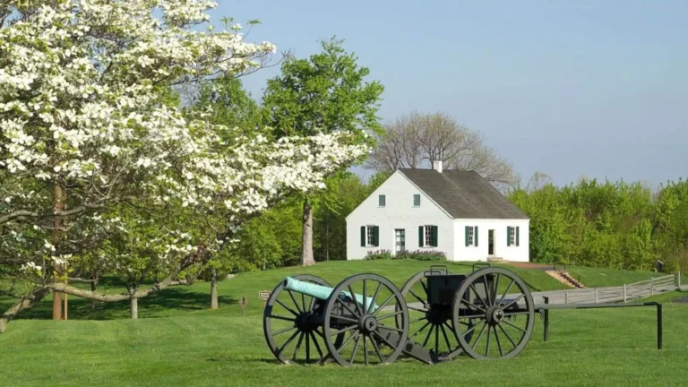 City Owings Mills Maryland