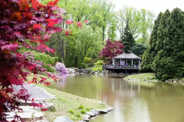 City Wheaton Maryland